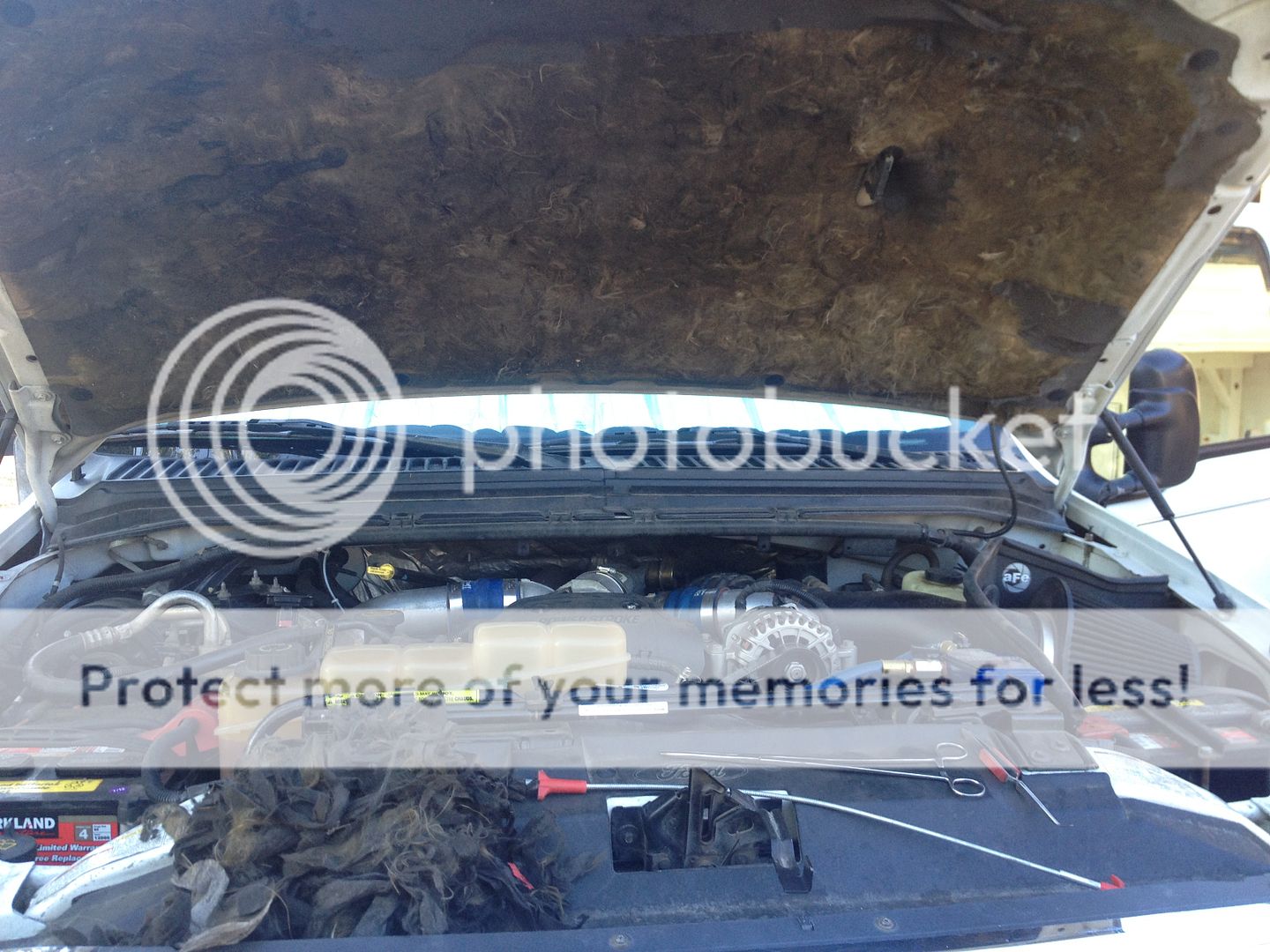 Mice ate my wiring and other foam parts! - Page 3 - Ford Truck